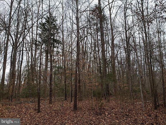 4th image of 10131 Shawnee Ln