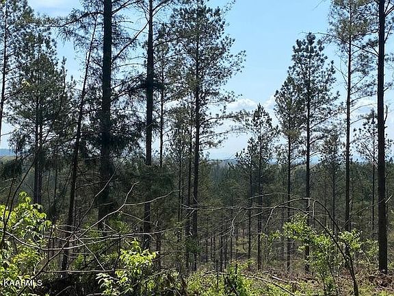 3rd image of 5 County Road 351