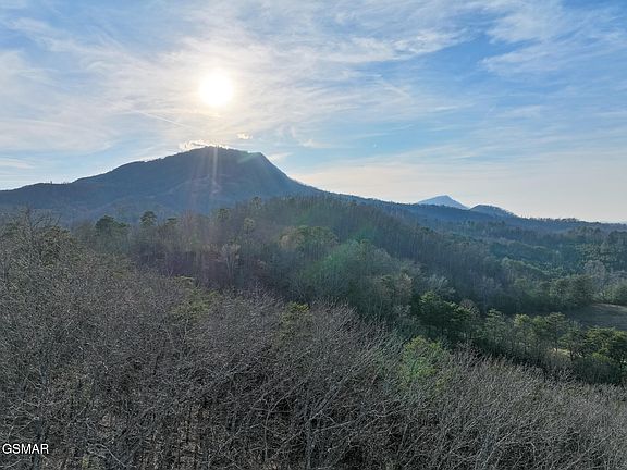 4th image of LOT 71 Goose Gap Rd