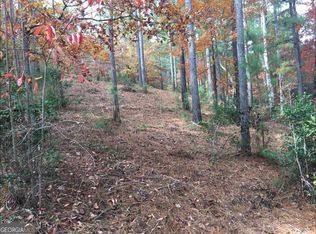 134 Sandy Lake Ln, Blairsville, GA 30512