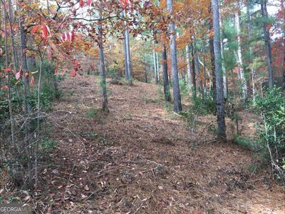 134 Sandy Lake Ln, Blairsville, GA, 30512