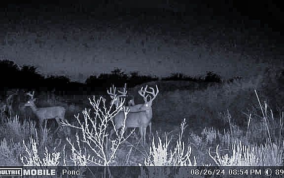 4th image of 36 Star Rd