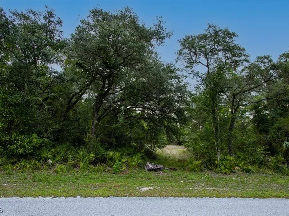 34122 August Ave, Webster, FL 33597