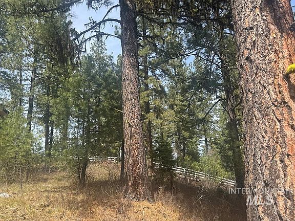 3rd image of 474 Timbercrest Loop