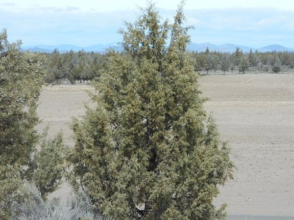 3rd image of 11403 Highway A12