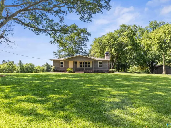481 Malone Dr, Horton, AL 35980