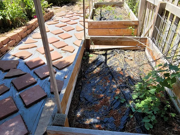 12245 Sunflower St — Photo 16