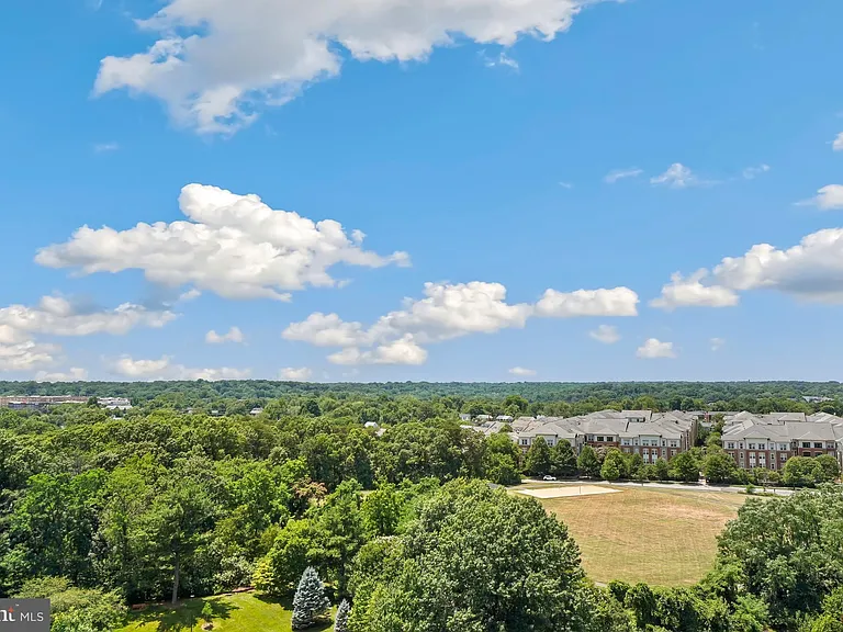5901 Mount Eagle Dr #1517 — Photo 7