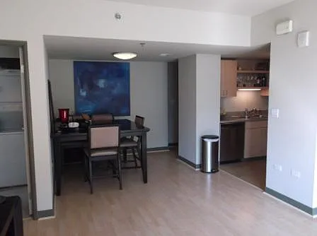 425 W Beech St #1301 — Photo 8