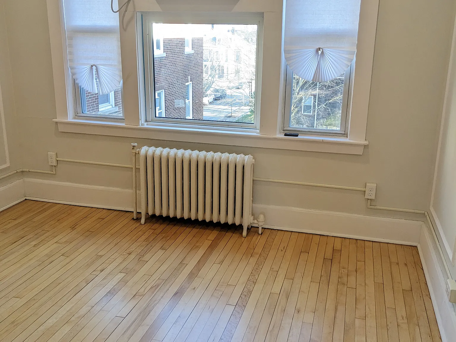 Studio, 525 sqft, $1,500 — Photo 4