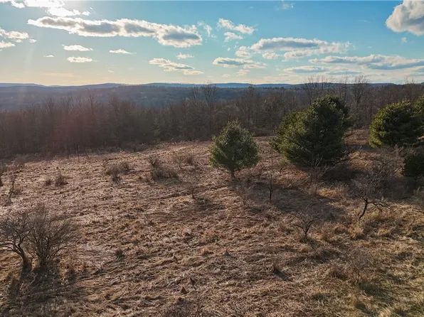 1015 Langford Creek Rd, Van Etten, NY 14889