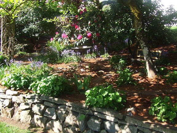 Flower Garden