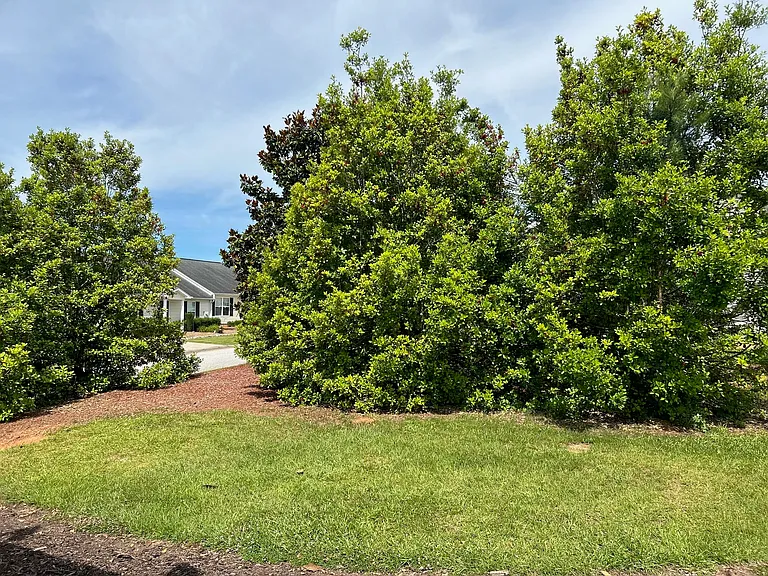 135 Violet Ct #135 — Photo 30