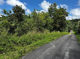 Carr 129 Km 16.5 Int Bo Bayaney, Hatillo, PR 00659