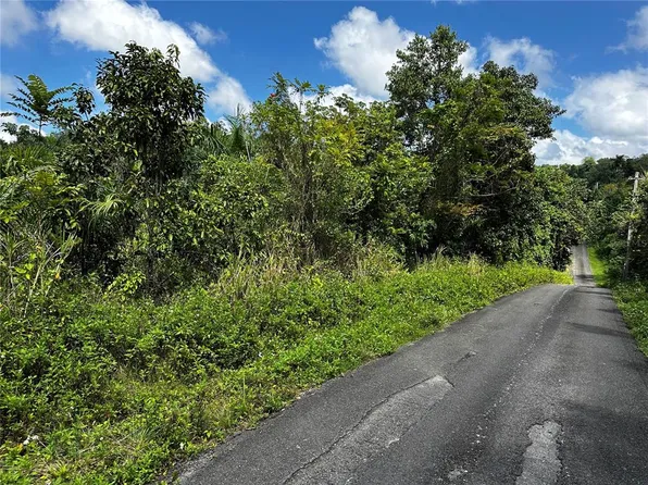 Carr 129 Km 16.5 Int Bo Bayaney, Hatillo, PR 00659
