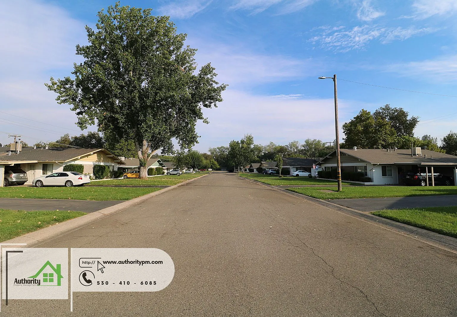 2 bed, 1.0 bath, 800 sqft, $1,295 — Photo 2