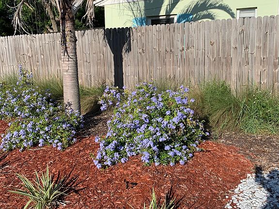 5th image of 1217 Bermuda St #1217