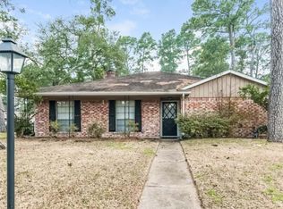17503 Bonnie Sean Dr, Spring, TX 77379