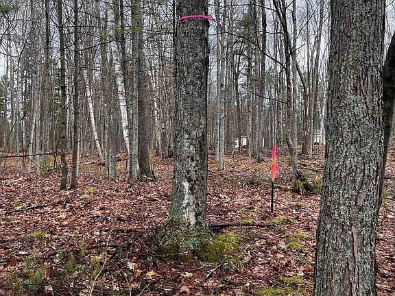 3rd image of LOT 23 Menominee Shores Dr