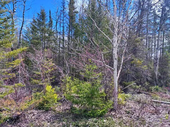 338 County Road 638, Presque Isle, MI 49777
