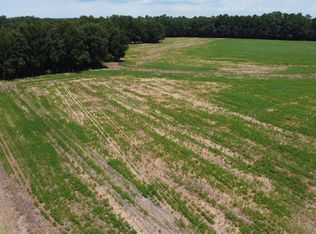 0 Black River Rd, New Zion, SC 29111