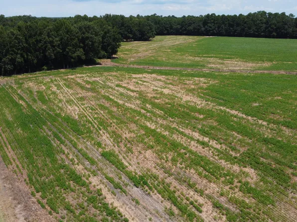 0 Black River Rd, New Zion, SC 29111