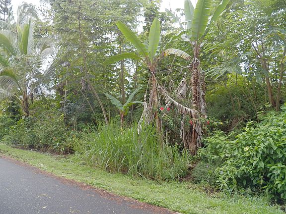 4th image of Lalakea St Lot 746