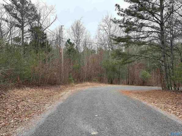 Lots 30&31 Chawnee Cir, Scottsboro, AL 35768
