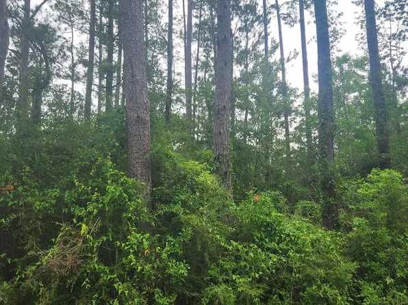 5th St Lot 648, Bay Saint Louis, MS 39520