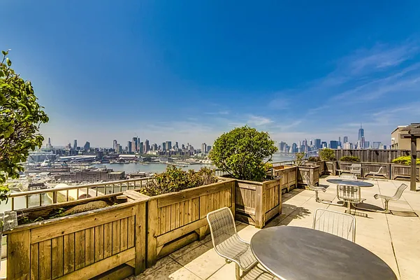 Rented by MNS | media 31