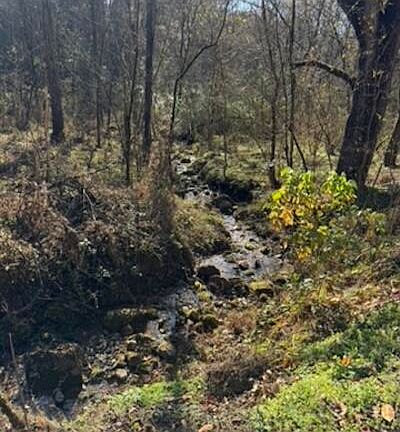 3rd image of PARCEL 53-050.00 Obes Branch Rd