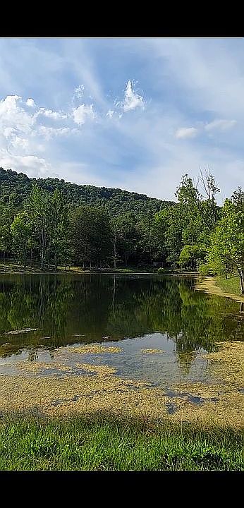 Fishing Rods for sale in Bulls Gap, Tennessee