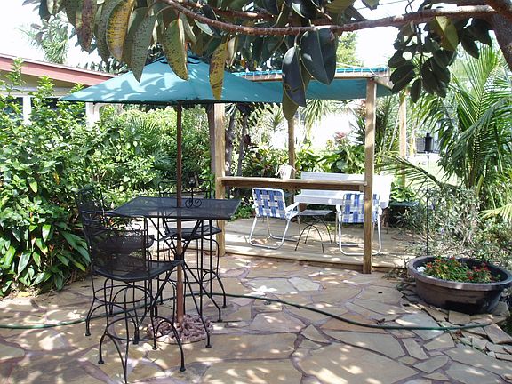 lush back yard and fish pond