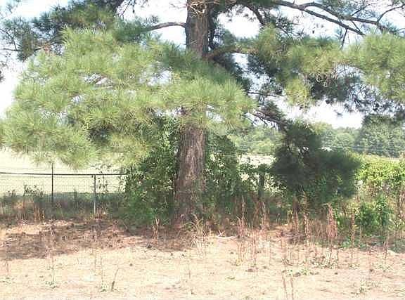 3rd image of 162 Private Road 30041