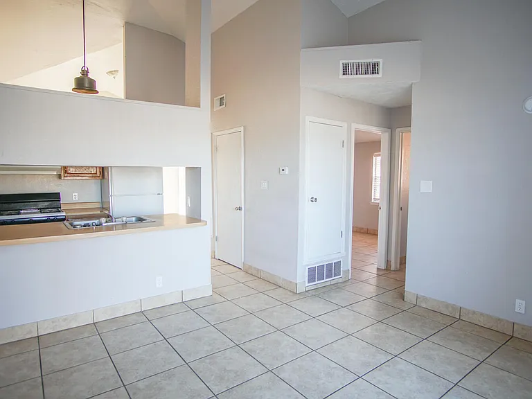 10202 Niagara Falls Pl — Photo 10
