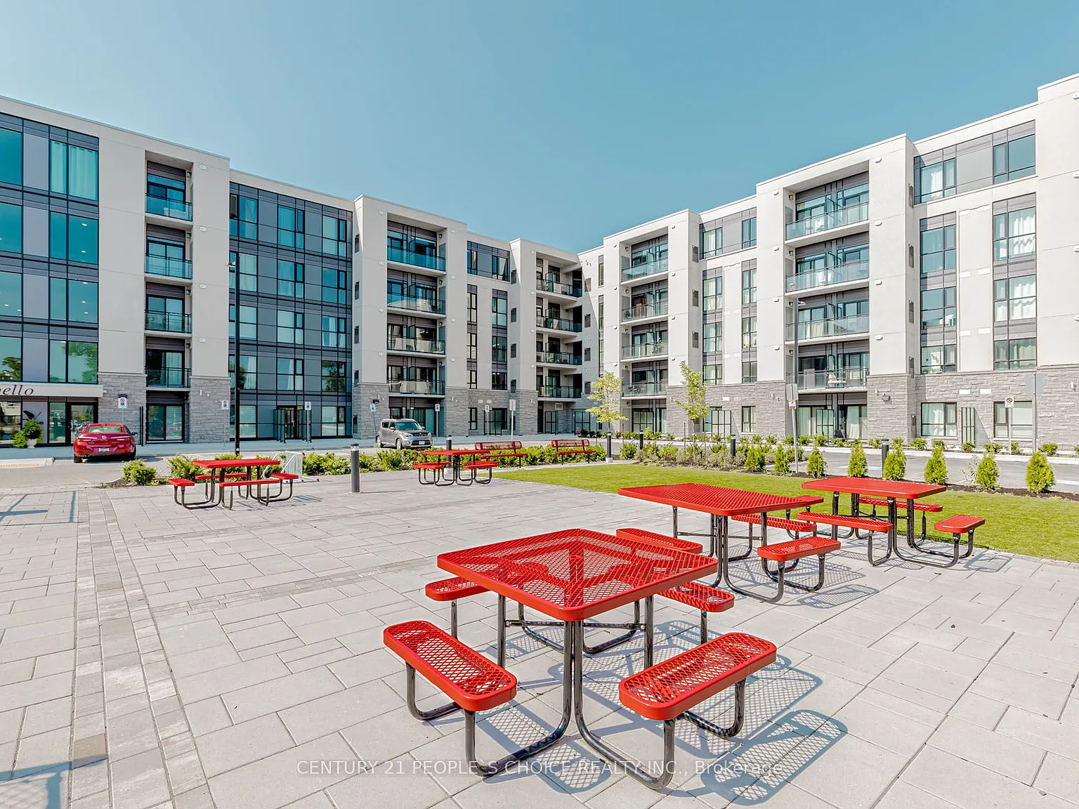 1 bed, $1,850 — Photo 4