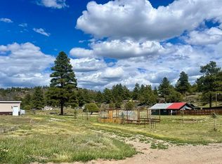828 Beucler Ln, Pagosa Springs, CO 81147