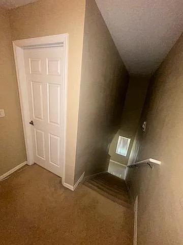 4195 Pitch Pine Circle — Photo 4