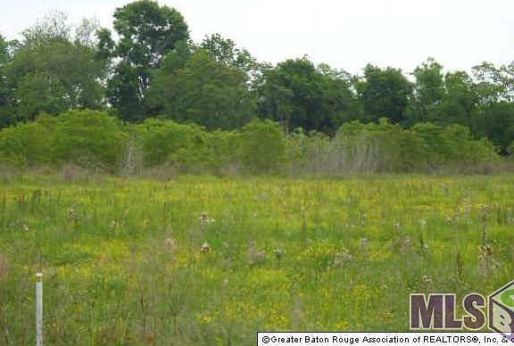 5th image of LOT 12 Bayou Paul Ln