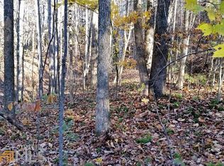 3681 Lakeview Dr, Gainesville, GA 30501