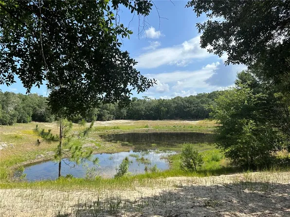 SE 113th Street Rd Lot 2, Ocklawaha, FL 32179
