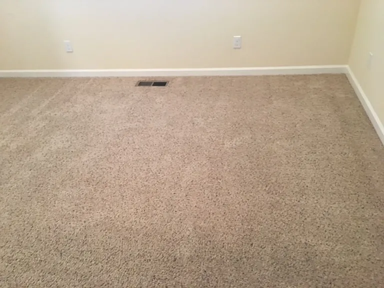 715 Bodega Ave — Photo 15