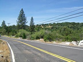 2nd image of Springfield Road