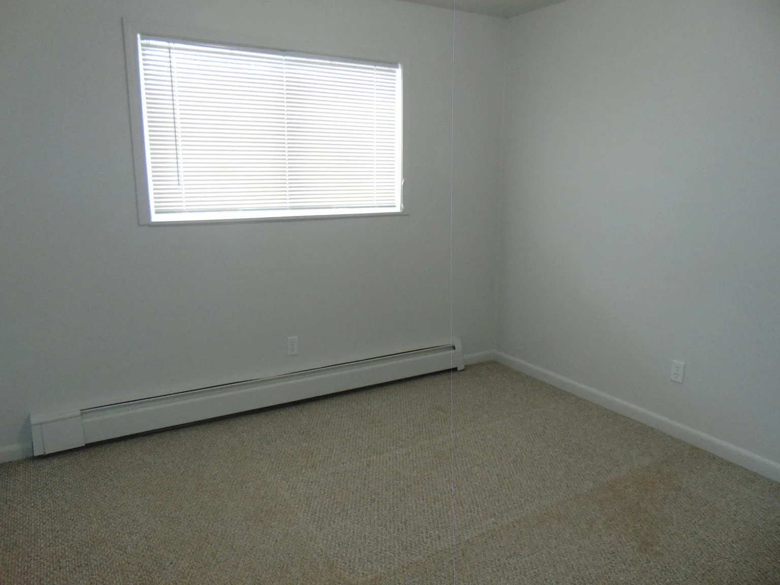 1 bed, 800 sqft, $1,350 — Photo 3
