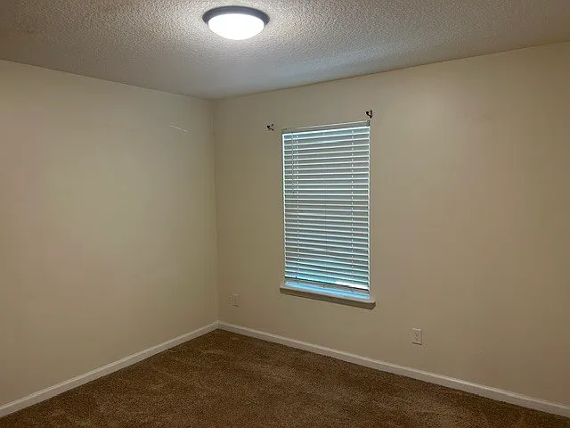 806 Oak St #10 — Photo 7