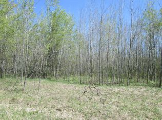 Pohutsky Trl, Johannesburg, MI 49751