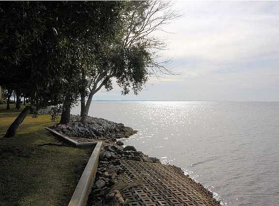 5th image of 78 Marina Cove Dr #78