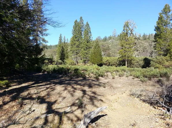 31325 Little Doe Court, Potter Valley, CA 95469