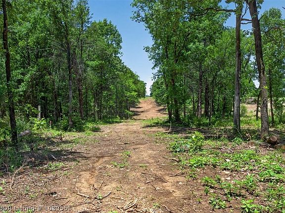 4th image of TRACT 3 Benson Ln