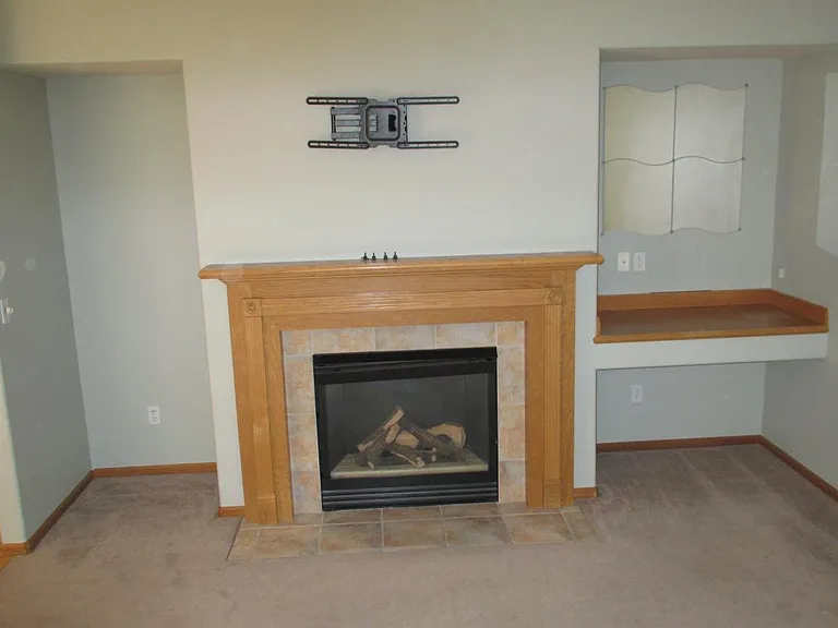 Fireplace/living room